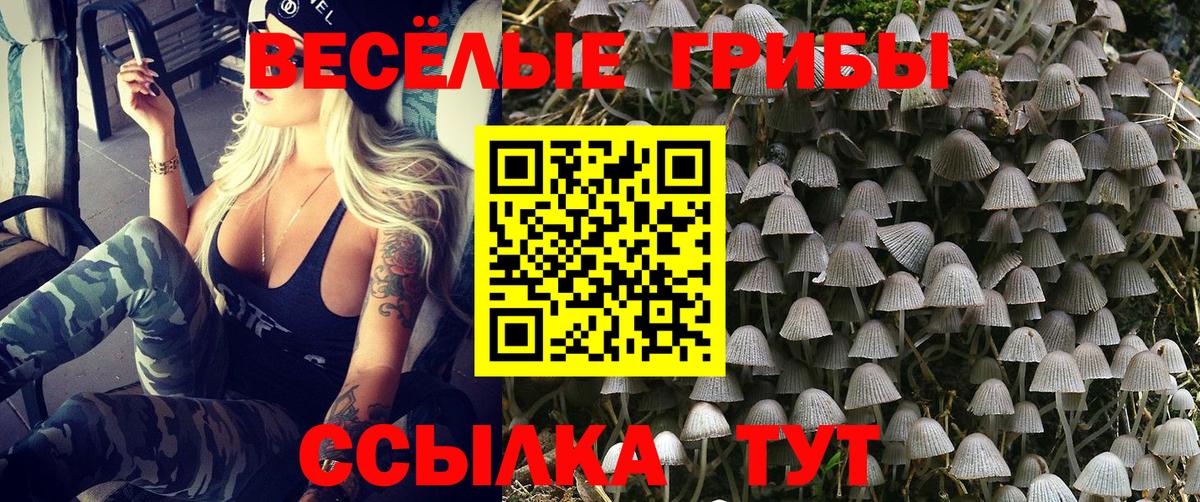 Галлюциногенные грибы прущие грибы  Вход с VPN  Шатура 
