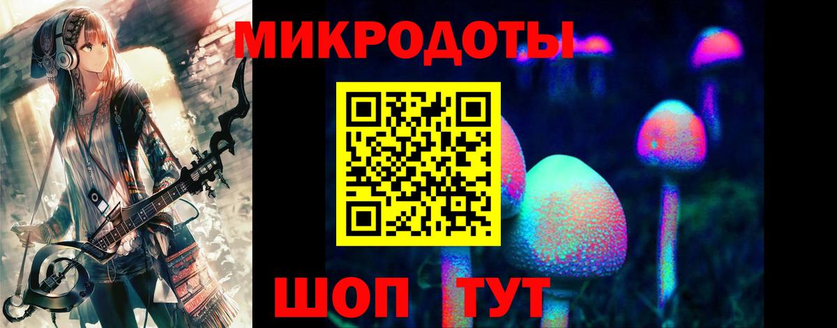 Псилоцибиновые грибы GOLDEN TEACHER Шатура